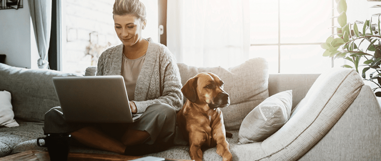 chien stérilisé question